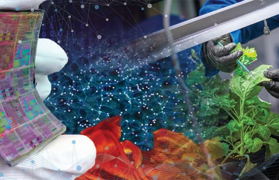 Materials_Science_ScienceMatters_Image