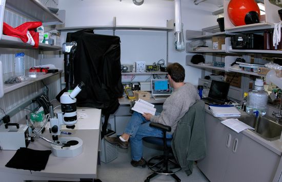 Scientist Jonathan Cohen of Eckerd College conducts an experiment in a laboratory at NSF Palmer Station.