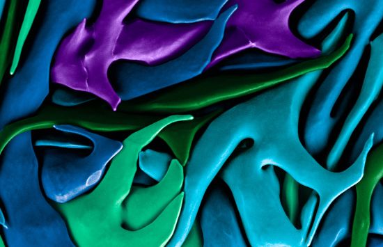 Interlacing smears of blue, green and purple materials that look like modeling clay.