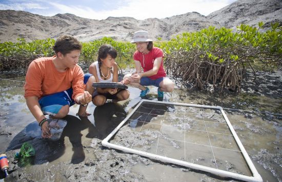 Two students and an instructor kneeling in a wetland next to an experimental grid made of PVC and string.