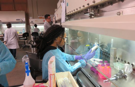 Student doing research at the Next-Generation National ATE center