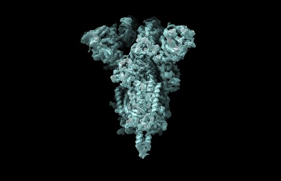 A 3D model of a protein depicting how its polypeptides cluster to take on the protein's overall shape.