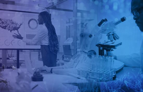 PIPP Announcement banner