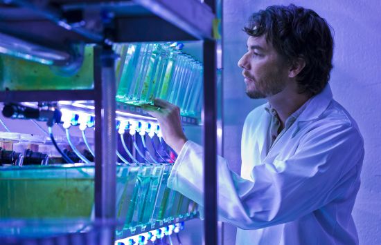A researcher in a lab lit with blue light looking into tanks of water containing aquatic plants and fish.