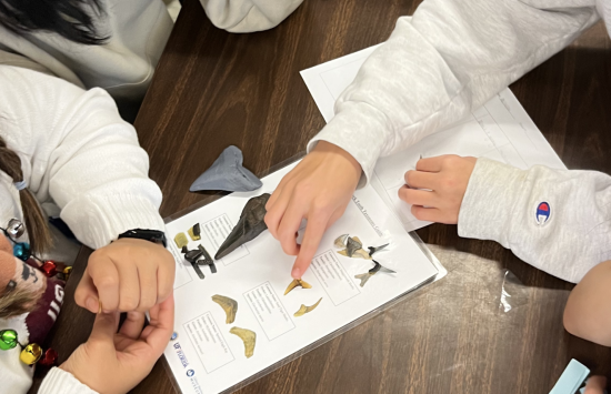 Students' hands on a worksheet on a table.