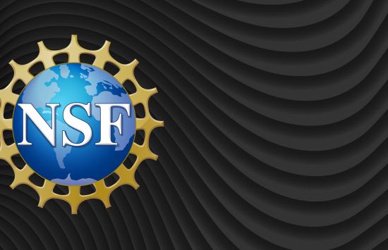 NSF virtual background