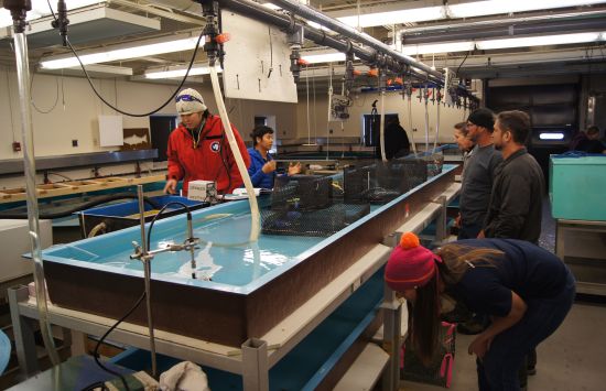 Scientists discuss their work in the NSF McMurdo Station's Crary Laboratory aquarium.