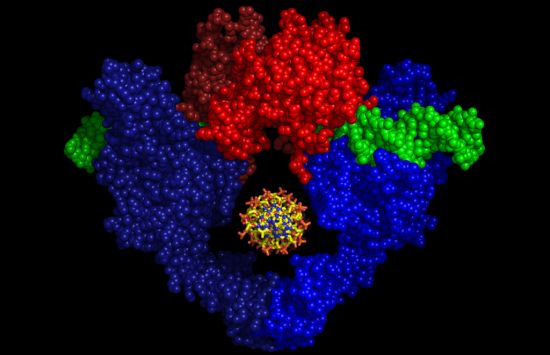 Enabling the biotechnology industry