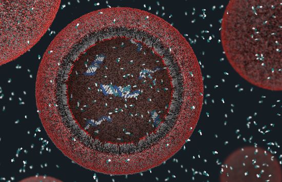 Red and blue layered circles on a black background with bright specks all around.