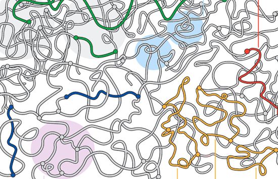 A bunch of spaghetti-like lines