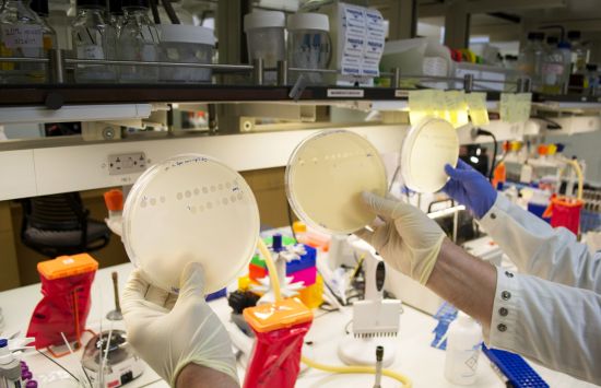 Lab of professor Justin Meyer