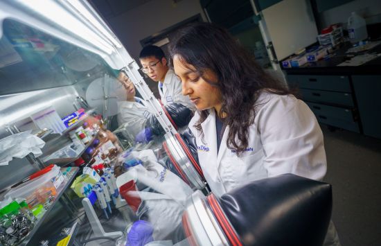 Engineering students fabricate and test a structural supercapacitor