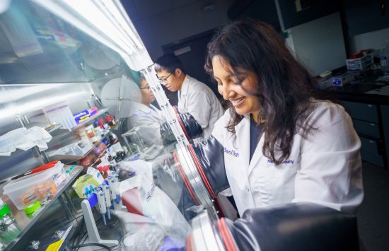 Study co-authors Lulu Yao (left) and Nandu Koripally (right), both engineering Ph.D. students in Tse Nga (Tina) Ng's lab at UC San Diego, worked together to fabricate and test the structural supercapacitor.