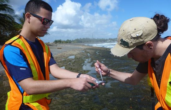 two citizen scientists collecting water samples
