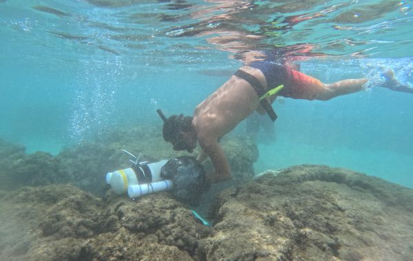 Maui coral reef diver