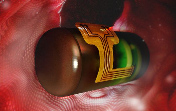 Ingestible bioimpedance sensing device
