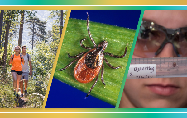 NSF Impacts: Lyme's Disease