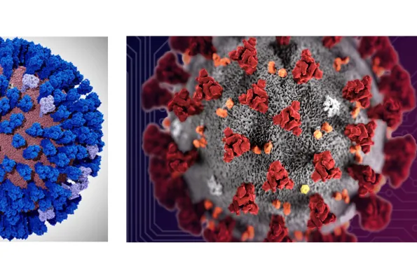 computer simulated models depicting an all-atom model of the influenza virus on the left and the coronavirus on the right.