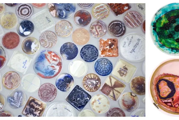 Clear discs with colorful designs are seen on top of a white background