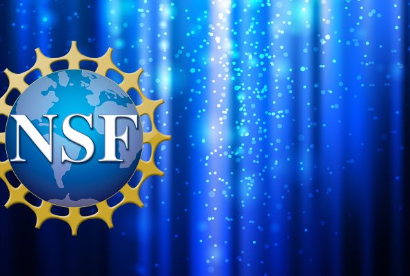 NSF logo virtual background