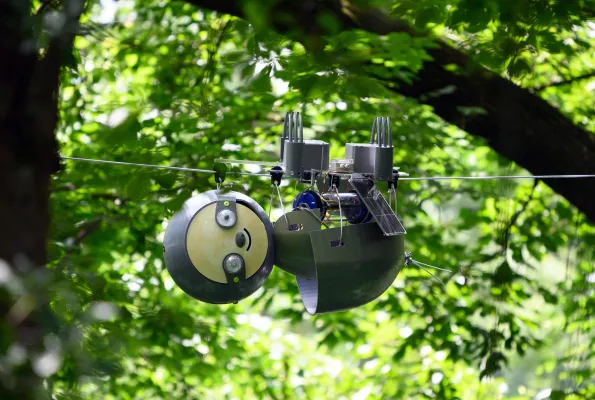 Robot monitoring forest conditions