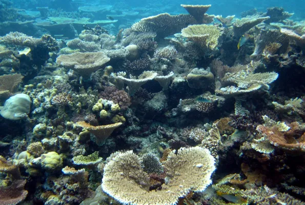 Turk Lagoon Micronesia