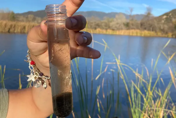 a sample of water within a testing tube