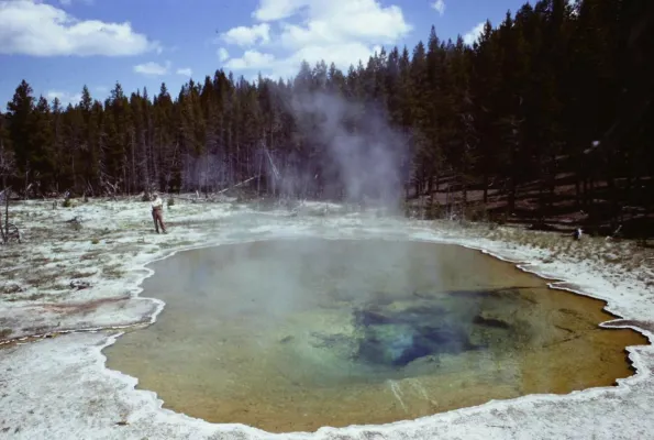 Brock at mushroom pool