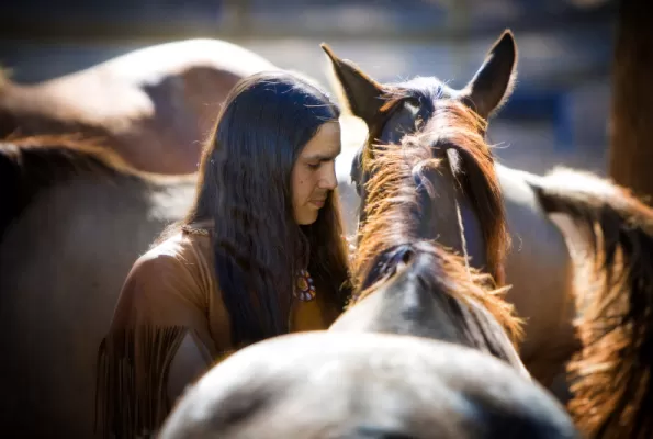 Man, "He Stalks One," and horse connect