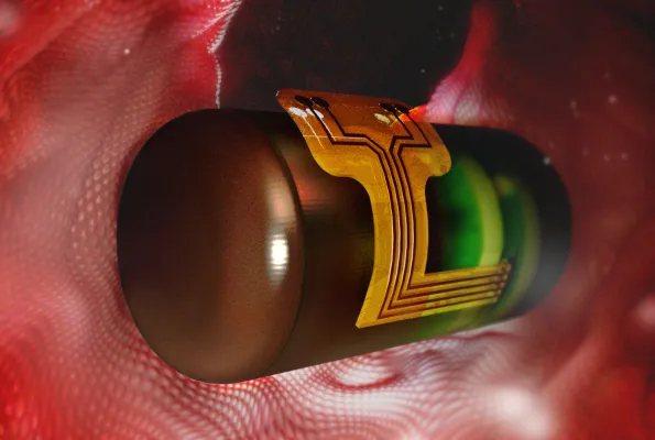 Ingestible bioimpedance sensing device