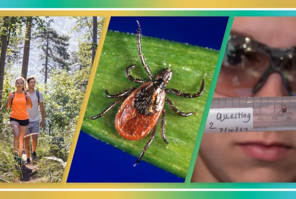 NSF Impacts: Lyme's Disease