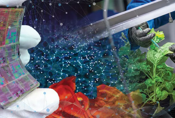 Materials_Science_ScienceMatters_Image
