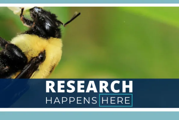 Bee campaign hero image