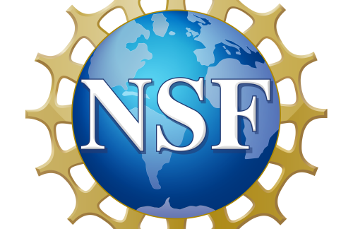 The NSF logo