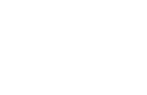 snowflake icon