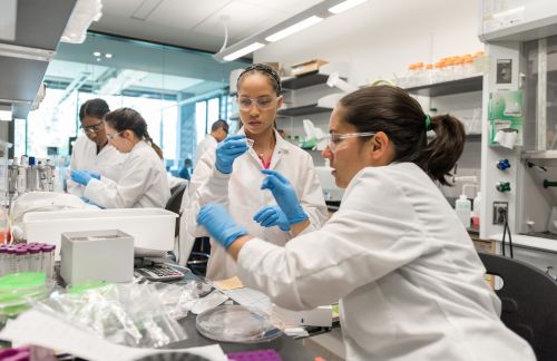 Student researchers, wearing goggles and lab coats, work at a laboratory bench.