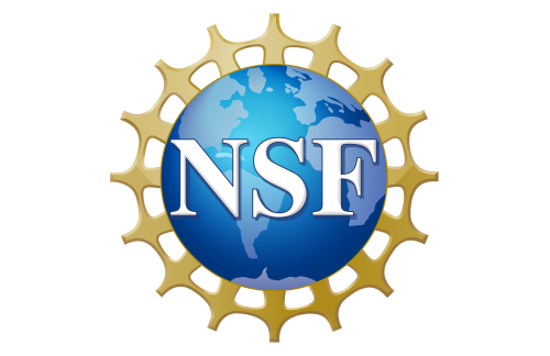 NSF's official logo