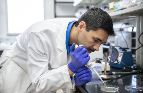 A man in a laboratory coat pipettes liquid into a petri dish.