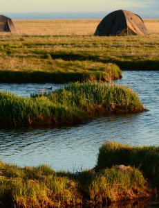 swamp with tents