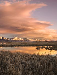 Cutler Marsh at sunset