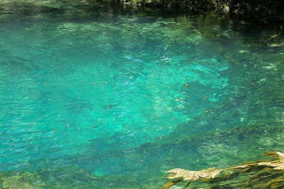 Florida Springs – Working to protect Florida's springs through sound  science and education