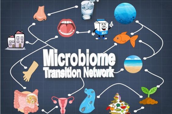 Seven degrees from one trillion species of microbes | NSF - U.S.