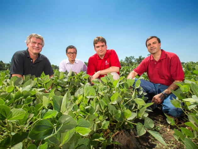 Four men sit among crops in a field