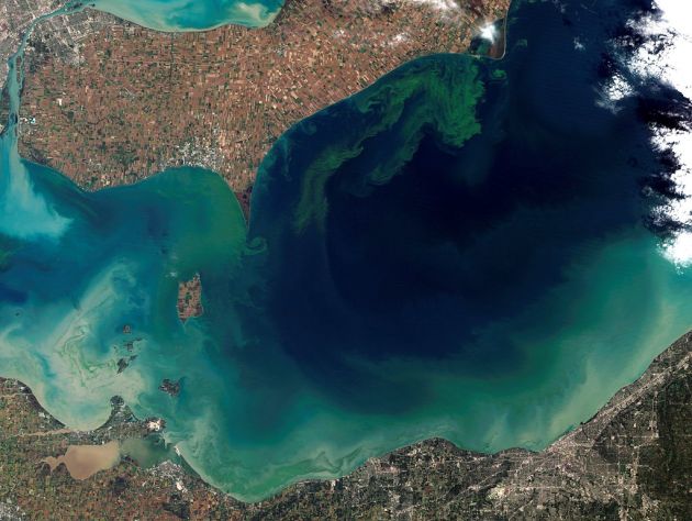 A satellite image shows a brown landscape surrounding a body of blue water with green swirls 