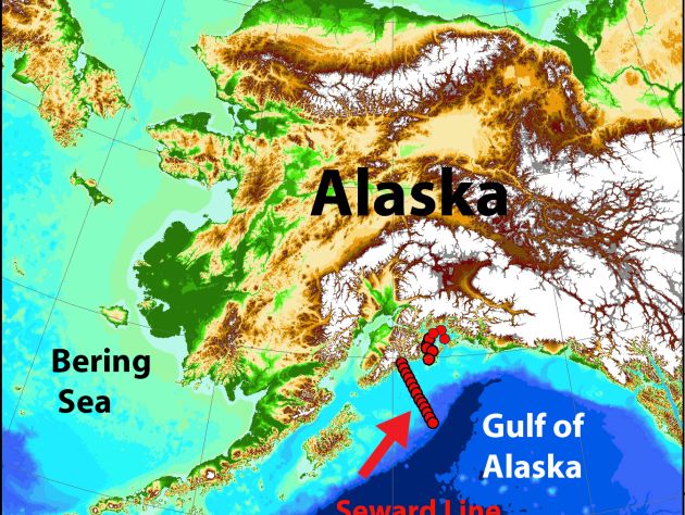 topographical map of Alaska and Gulf of Alaska