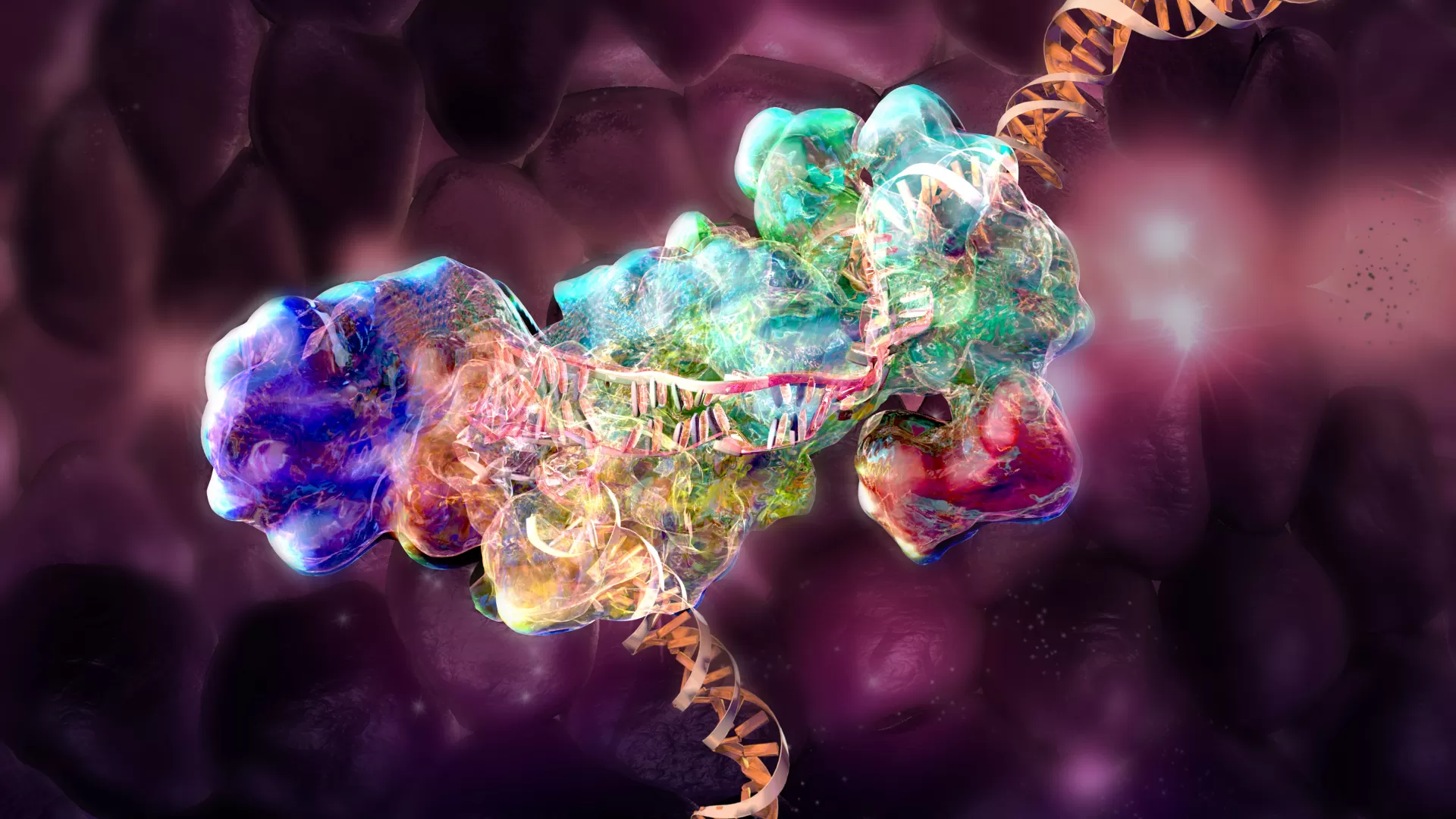 Illustration of a protein surrounding a section of a DNA molecule