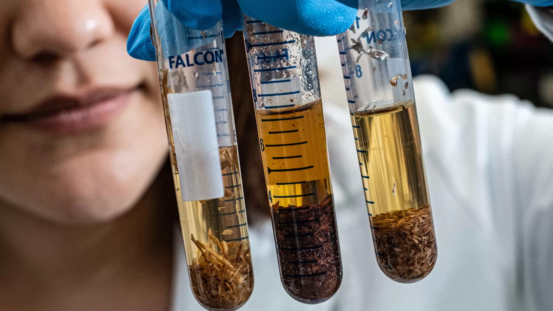 Closeup of a woman holding three test tubes containing clear, browiish liquid in her gloved hand