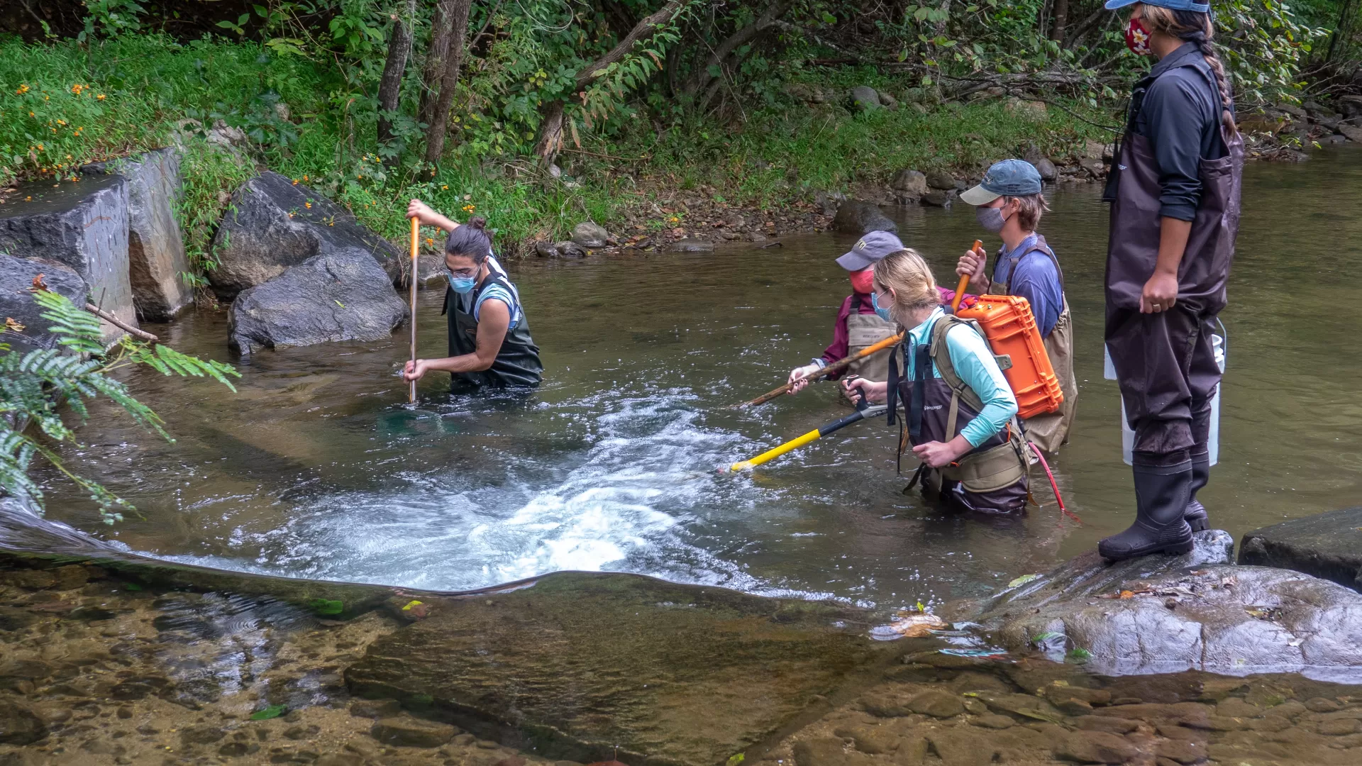 Five students standing in a stream wearing waders and holding electrofishing equipment and nets.