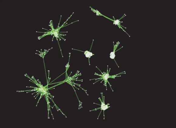 Geometrical patterns of points representing genes and lines indicating degree of similarity.