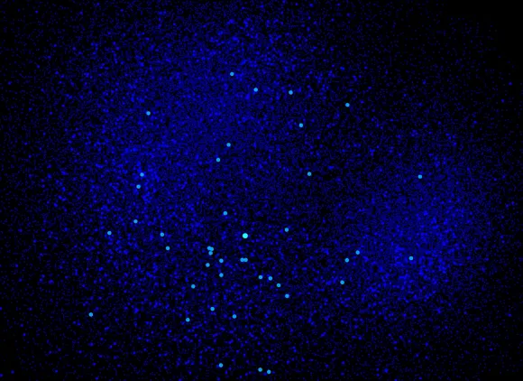 Large-scale Online Social Network Visualization virtual background with NSF logo